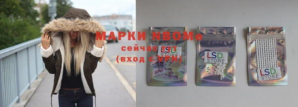 apvp Алексин