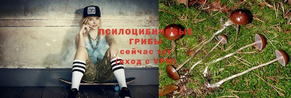 apvp Алексин